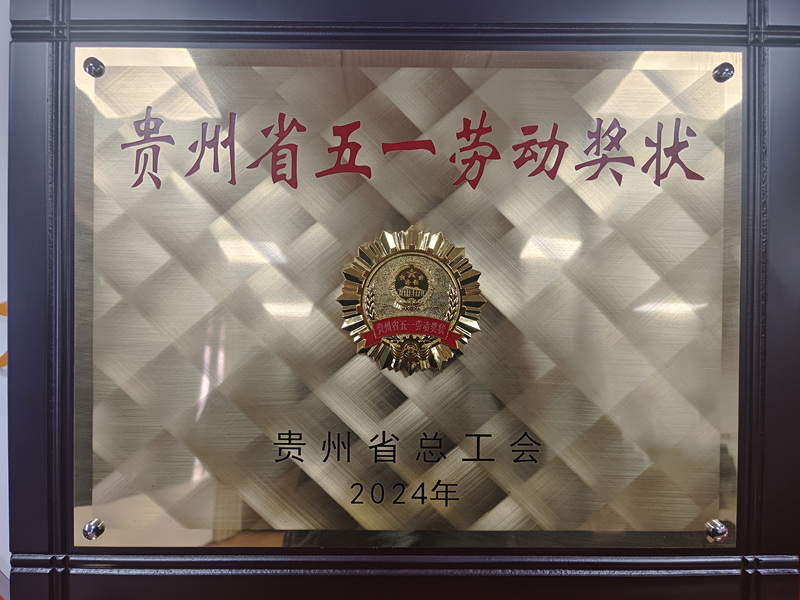 黔東南州水利投資（集團(tuán)）有限責(zé)任公司榮獲貴州省五一勞動(dòng)獎(jiǎng)狀